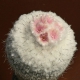 Epithelantha micromeris var.