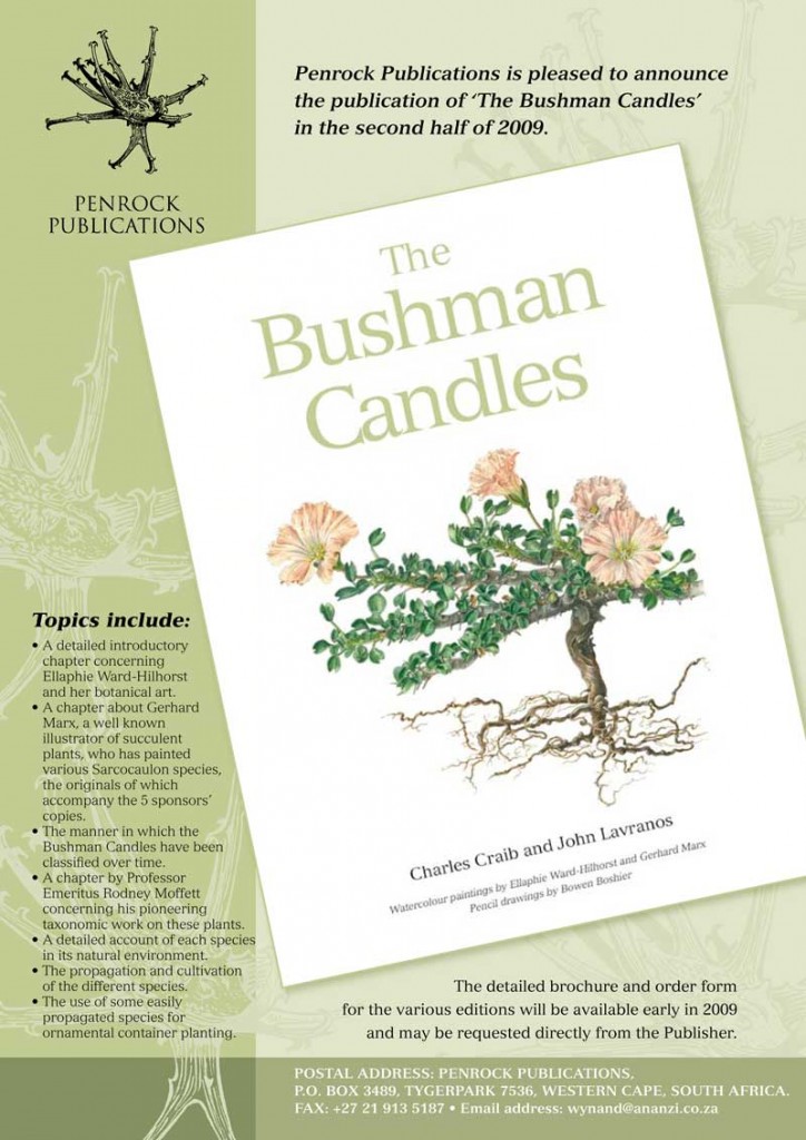 bushmancandles-1.jpg