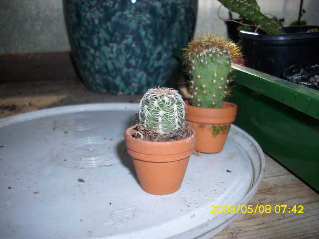 image004.jpg