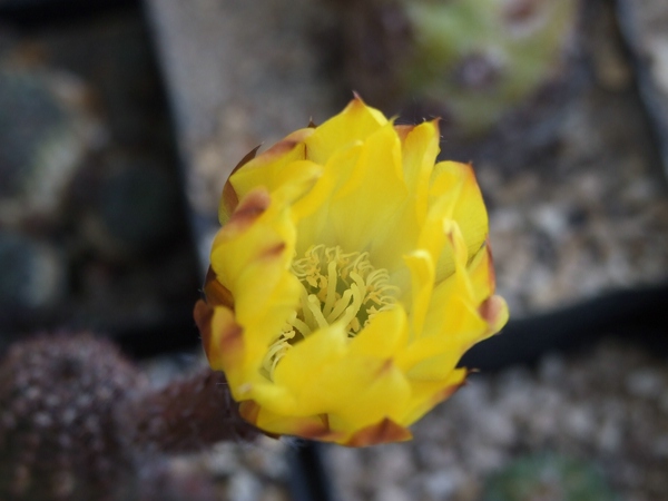 comp_18.5.2009 015.jpg