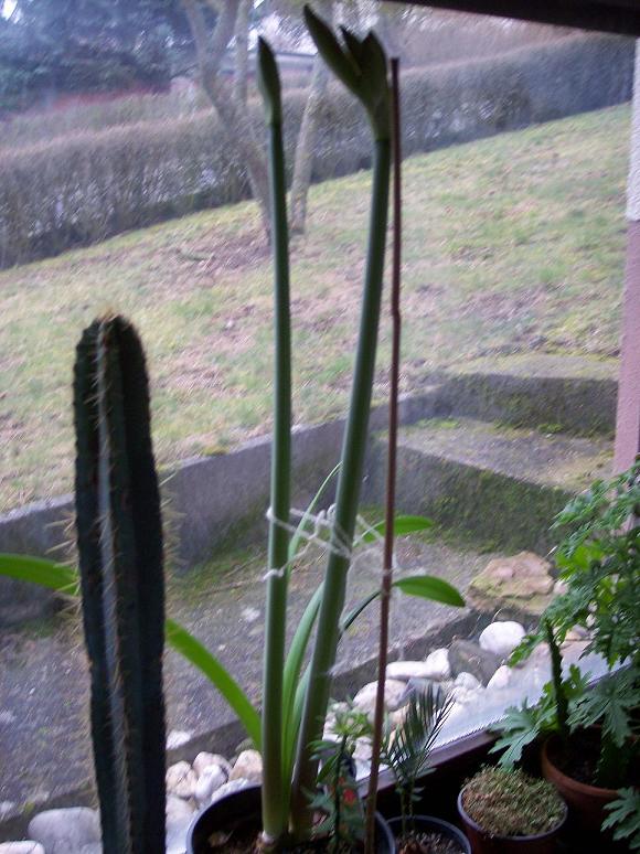 Bild 069.jpg