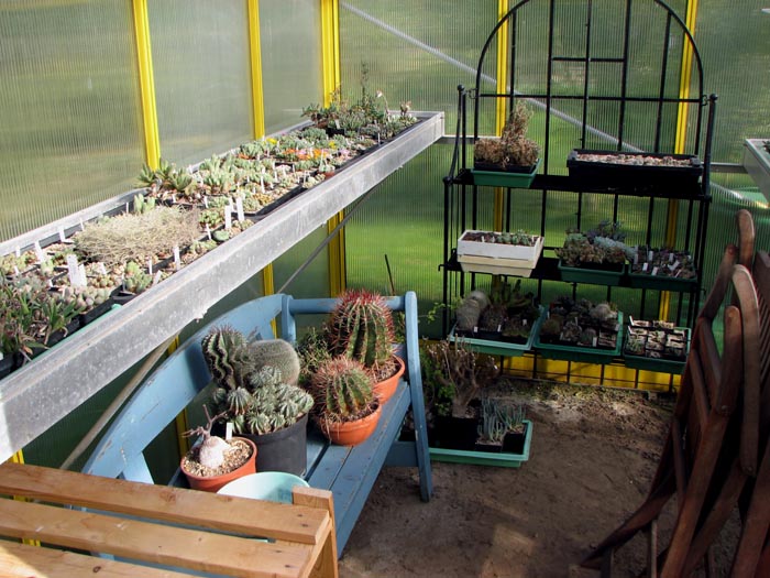 Gewächshaus 2009-09-18 003 verk.jpg