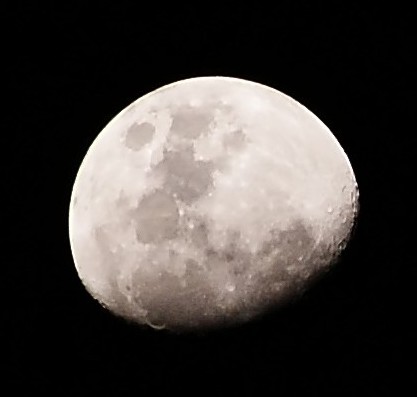 DSC03749_filtered.jpgcrop.jpg