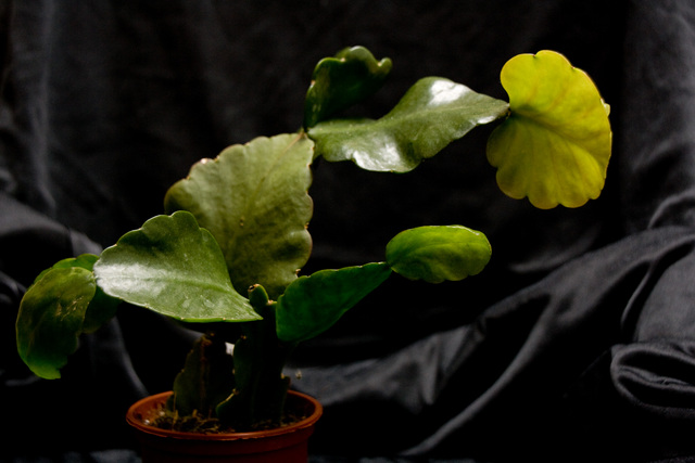 20101027-201114-829.jpg