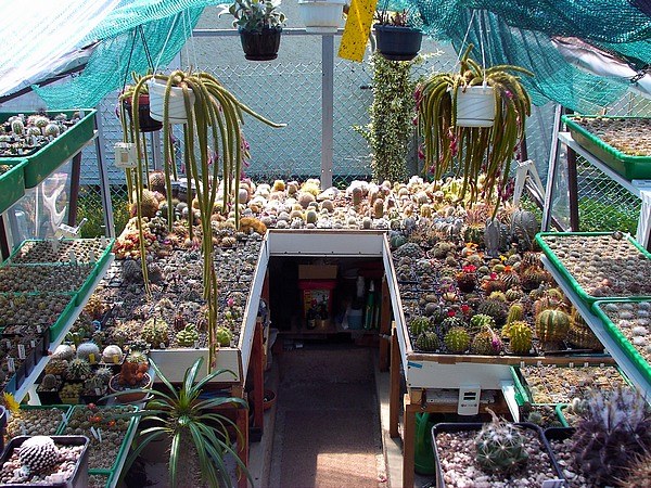 19_greenhouse.JPG