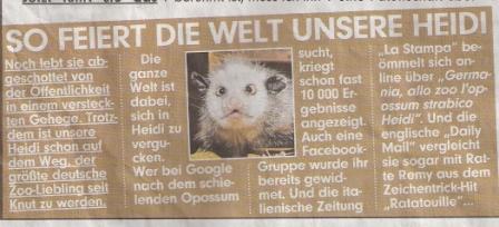 Heidi.jpg