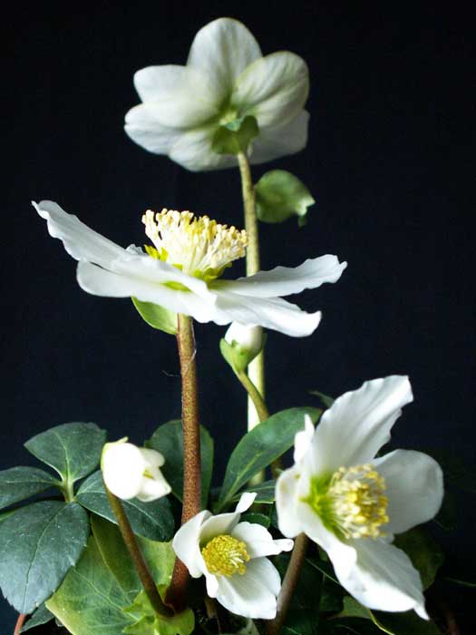 b05.jpg