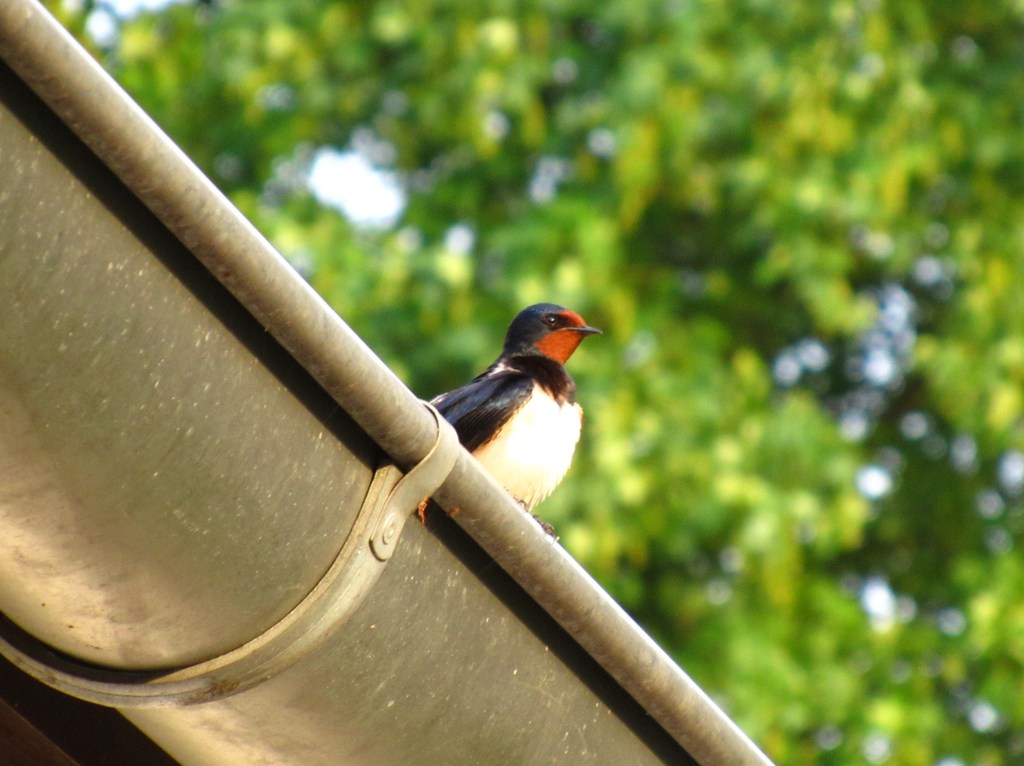 20110513-233808-16.jpg