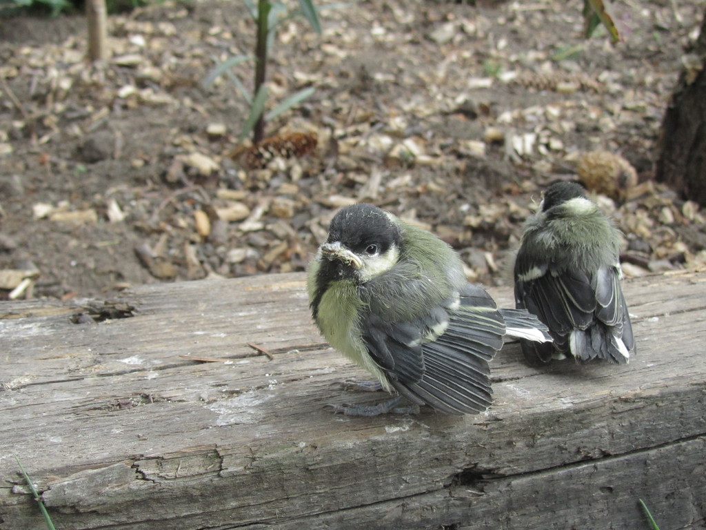 20110603-210309-745.jpg