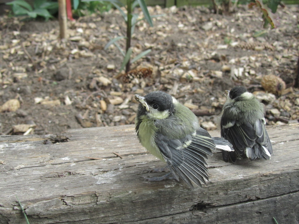 20110603-210312-637.jpg