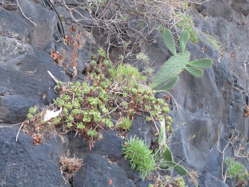 20110831-124051-896.jpg
