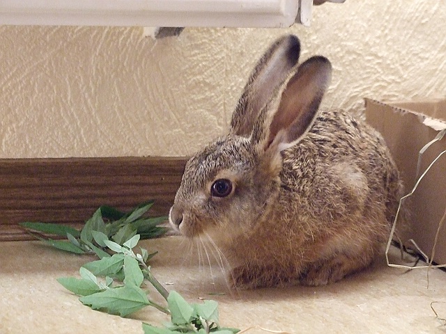 DSCF8289.jpg