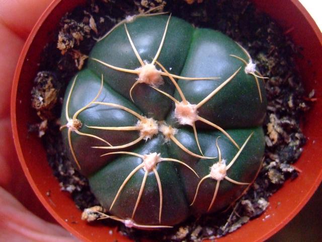 K640_DSCF4032.JPG