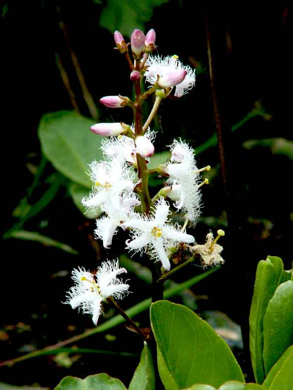 PICT0420.jpg