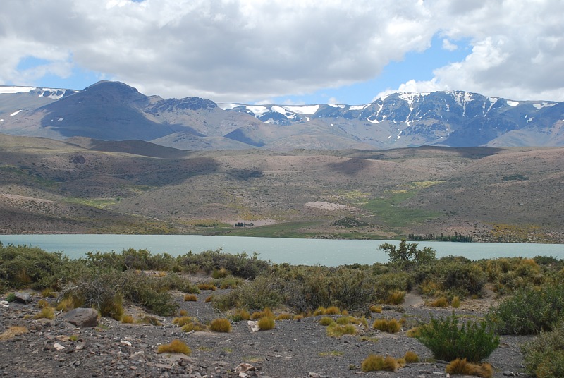 Laguna Blanca (bei Calmuco, Mendoza)